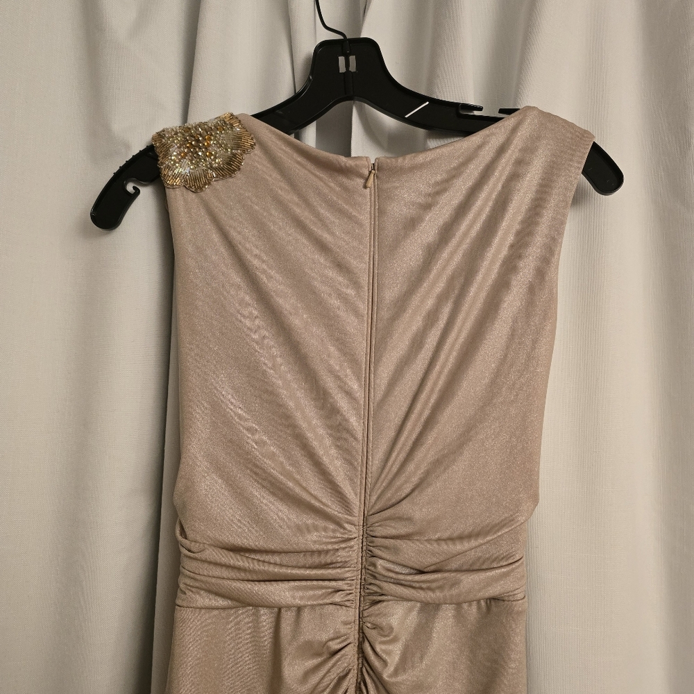 Tadashi Shoji - Champagne Gold Maxi Dress Small - Picture 8 of 14